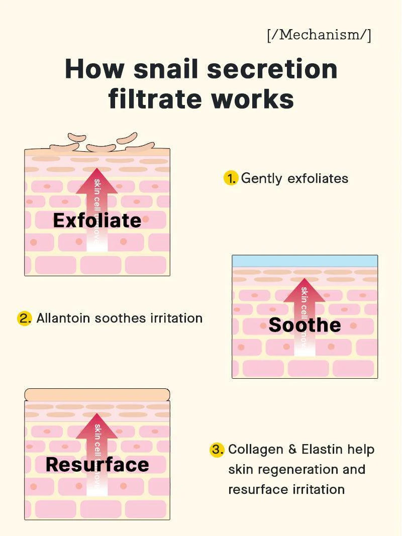 Diagram explaining how snail secretion filtrate helps exfoliate, soothe and resurface skin
