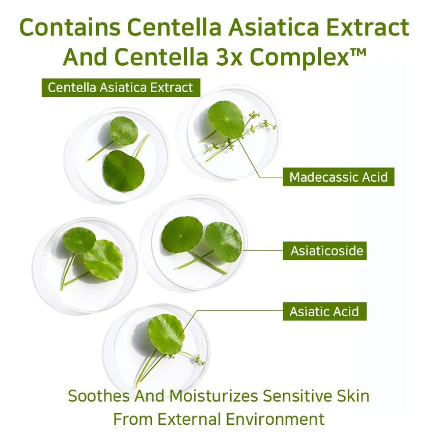 Centella Asiatica Extract with asiaticoside, madecassic acid and asiatic acid