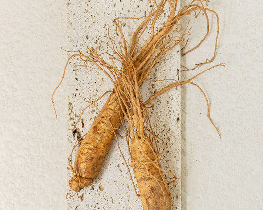 Beauty of Joseon Dynasty Cream – key ingredients ginseng root and rice extract; heritage K-beauty skincare.