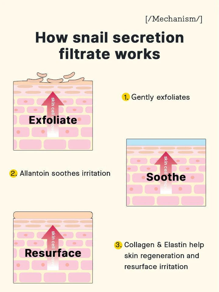 How snail mucin works – exfoliates, soothes irritation, resurfaces skin, promotes collagen and elastin regeneration